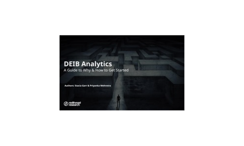 DEIB Analytics A Guide to Why and How to Get Started